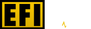 EFI Electric Fence Installers Cape Town | Guaranteed Workmanship
